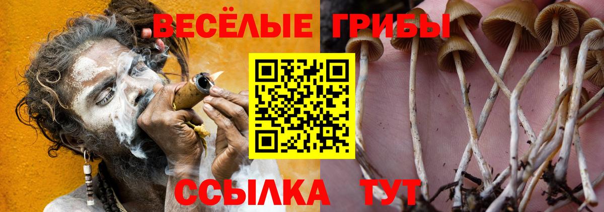 Галлюциногенные грибы мицелий  Галлюциногенные грибы ЛСД  Вход с VPN  Котовск 